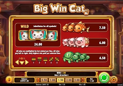 Аппарат Big Win Cat - выплаты за символы Выплаты за символы в аппарате Big Win Cat