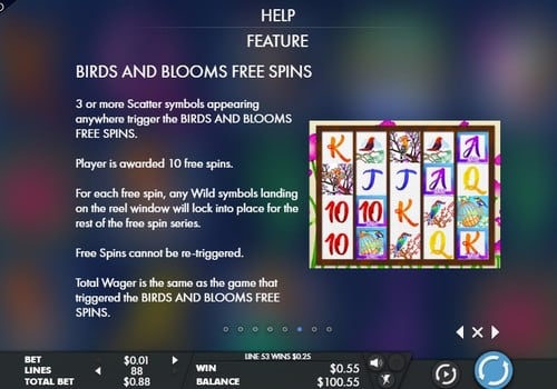 Аппарат Birds and Blooms - правила фриспинов Правила фриспинов в аппарате Birds and Blooms
