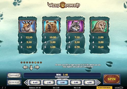 Аппарат Wild North - таблица выплат Таблица выплат в аппарате Wild North