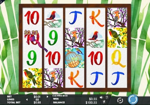 Автомат Birds and Blooms - дикие символы в комбинации Дикие символы в комбинации в автомате Birds and Blooms