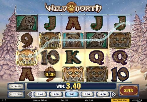 Игровой автомат Wild North - призовая комбинация с диким знаком Призовая комбинация с диким знаком в игровом автомате Wild North