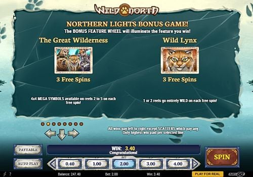 Онлайн слот Wild North - правила фриспинов Правила фриспинов в онлайн слоте Wild North
