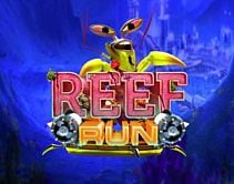 Reef Run Reef Run
