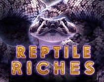Reptile Riches Reptile Riches