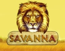 Savanna Savanna