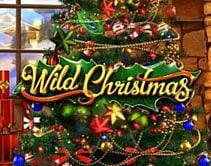 Wild Christmas Wild Christmas