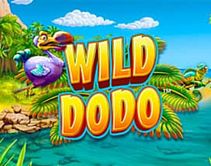 Wild Dodo Wild Dodo