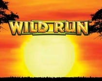 Wild Run Wild Run