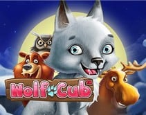 Wolf Cub Wolf Cub
